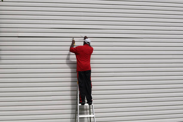 Best Weatherproofing and Sealing  in Dorr, MI