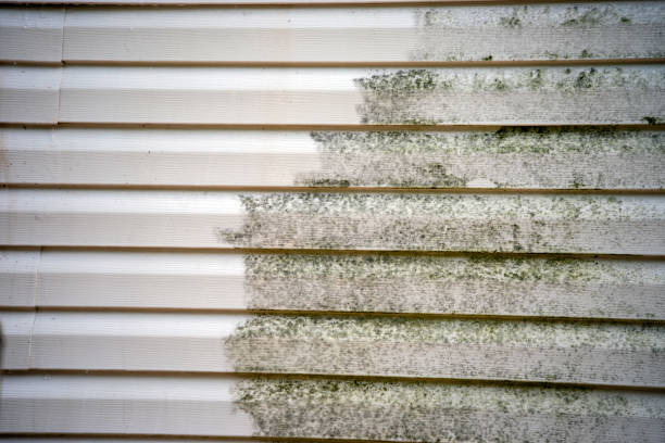 Affordable siding repair and maintenance services in Dorr, MI