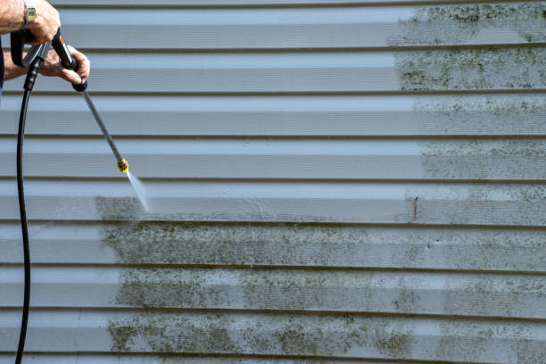 Best Siding for Multi-Family Homes  in Dorr, MI