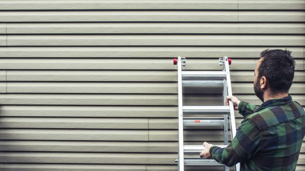 Best Insulated Siding Installation  in Dorr, MI