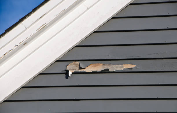 Best Custom Trim and Detailing for Siding  in Dorr, MI