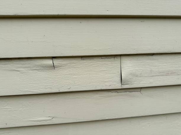 Siding for New Construction in Dorr, MI
