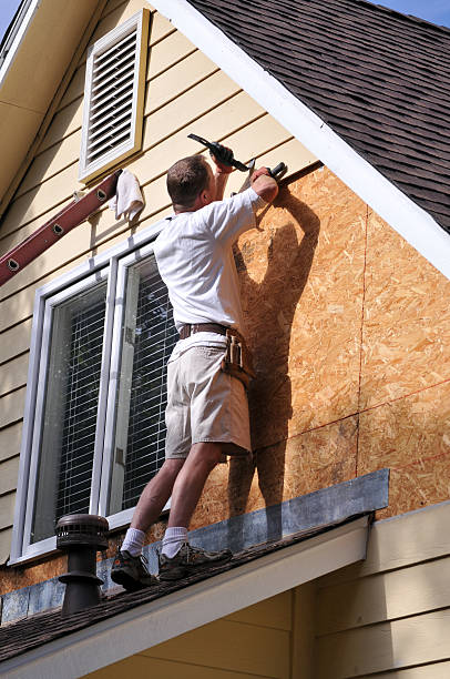 Best Stone Veneer Siding  in Dorr, MI